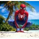 Spiderman PS4 Game Insomniac Cosplay, Spiderman PS4 Game Insomniac Costume